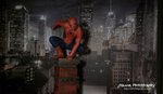 Spicerman �j��L2T