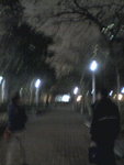 GoingOut-VICTORIAPARK