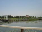 HongKong Wetland Park-1
