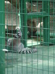 HongKong Zoological & Botanical Gardens-7