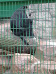 HongKong Zoological & Botanical Gardens-8
