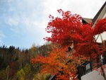 IMG_0230