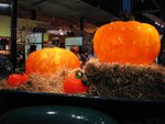 IMG_2226