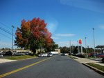 IMG_1981