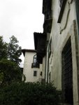 IMG_1750