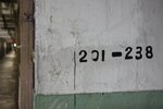 IMG_4133