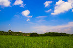 IMG_2933R