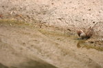 IMG_8392