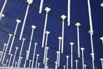 IMG_4566