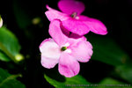 DSC01946