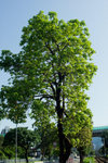 DSC05204