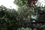 DSC05427