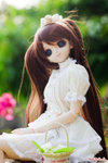 DSC03068