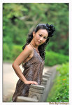 KAN_4017a
