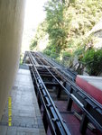 SDC15555