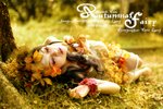 DSC_1941