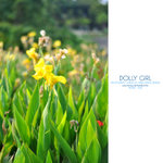 doll025