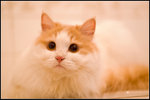 PICT0013