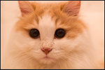 PICT0022