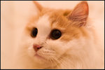 PICT0023