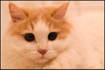 PICT0028