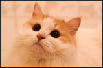 PICT0036