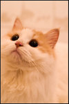 PICT0041