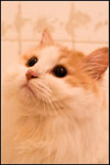 PICT0046