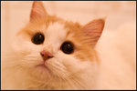 PICT0049