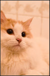 PICT0053