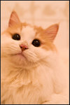 PICT0056