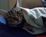 DSC00026