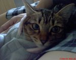 DSC00031