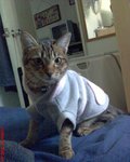 DSC00034