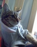 DSC00040