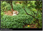 DSC_4528_e