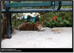 DSC_4647_e
