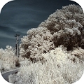 :: Infrared World ::