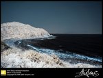 DSC_3960
