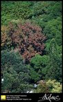 DSC_7918