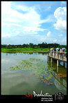 DSC_7967[1]