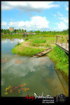 DSC_8021[1]
