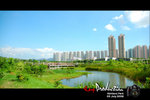 DSC_8040[1]