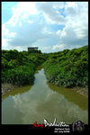 DSC_8063[1]