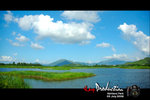 DSC_8113[1]