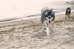 DSC_5008bbbvv