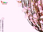 taiwan_wallpaper_1024