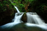 IMG_8782