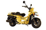 new01-01