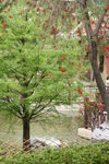 IMG_1105_resize